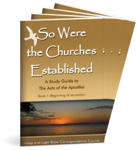 So Were the Churches Established